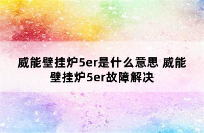 威能壁挂炉5er是什么意思 威能壁挂炉5er故障解决